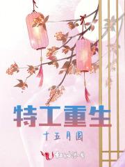 特工重生:十五月圆