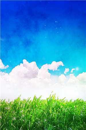 神医娘亲之腹黑萌宝全文免费