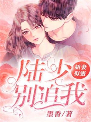 娇妻似蜜:陆少,别追我