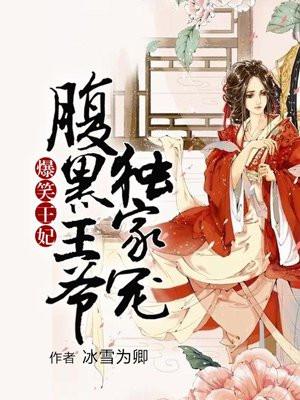 爆笑王妃,腹黑王爷独家宠