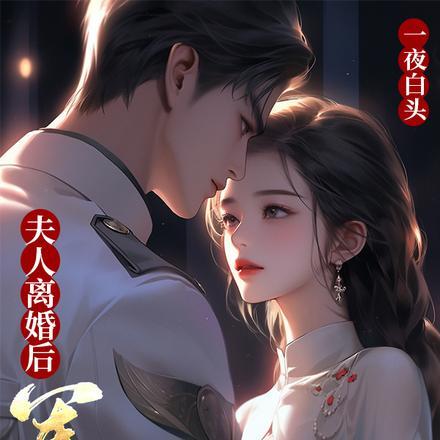 夫人离婚后,军阀大佬一夜白头