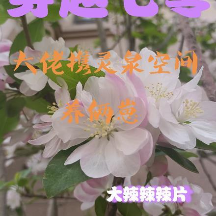 穿越七零,大佬携灵泉空间养俩崽