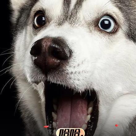 哈哈,这本书有毒