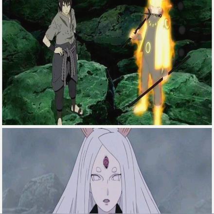 火影:开局获得神树