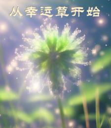 御兽:开局契约超级幸运