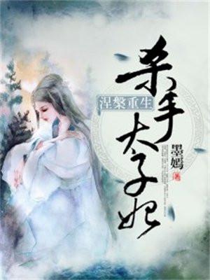 涅槃重生:杀手太子妃