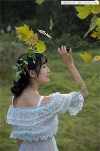 精品小说大秦:【真】万世永昌