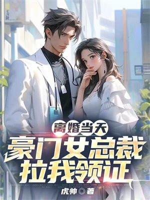 离婚当天,豪门女总裁拉我领证!