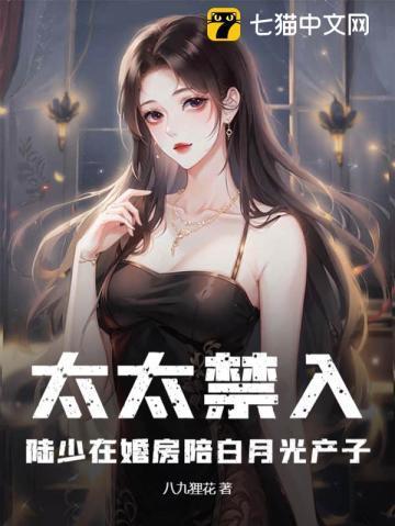 太太禁入,陆少在婚房陪白月光产子