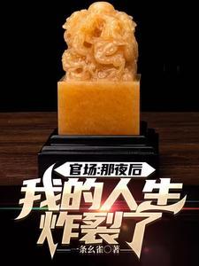 官场:那夜后,我的人生炸裂了