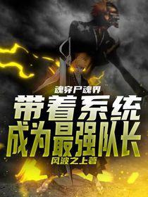 魂穿尸魂界,带着系统成为最强队长