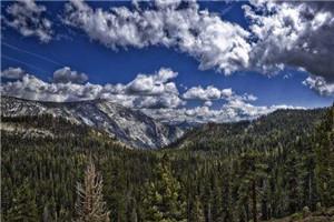 闪婚甜宠:总裁老公日日求贴贴