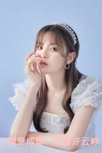 爱意成碑:林苒许云峥