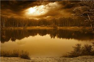 只要给点窝囊废,当谁舔狗无所谓