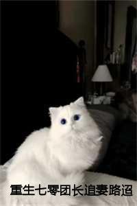 重生七零团长追妻路迢迢:沈君桦+结局