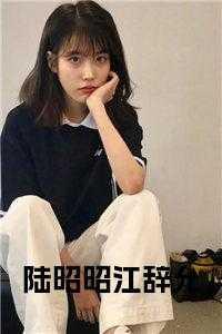 陆昭昭江辞允大结局