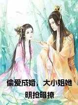 偷爱成婚,大小姐她明抢暗撩