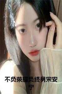 不负荣耀负终身宋安宁小说全文