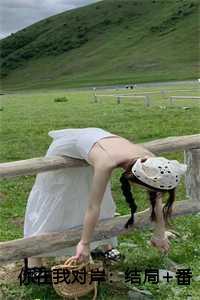 你在我对岸:结局+番外