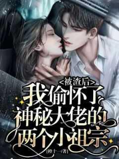 被渣后,我偷怀了神秘大佬的两个小祖宗