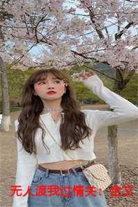 无人渡我过情关:全文+后续