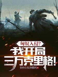 匈奴入侵?我开局三万克里格!