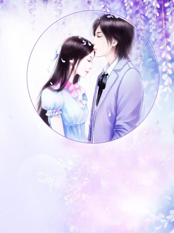 红楼之仙路作者外乡人