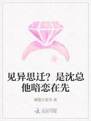 见异思迁?是沈总他暗恋在先