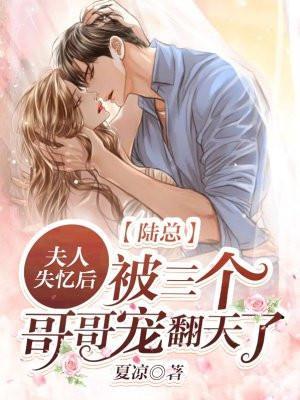 陆总,夫人失忆后被三个哥哥宠翻天了