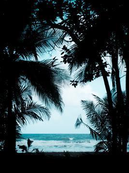 被白眼狼村民举报后,我搬走小学