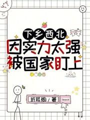 下乡西北,因实力太强被国家盯上