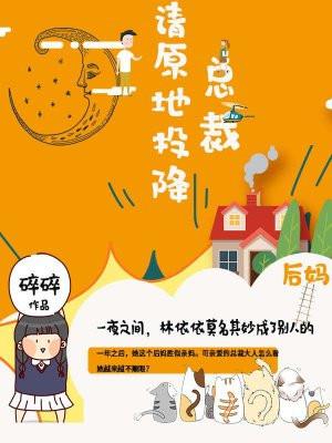 总裁,请原地投降