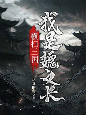 横扫三国,我是魏文长