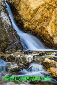 春色已去落花雨小说:结局+后续