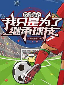 收集球衣,我只是为了继承球技