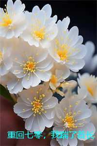 重回七零，我踹了首长一心高考：结局+番外