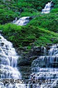 爱意成空,深情难付:全文+结局+番外,苏疑凌羽沫