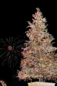 大年初一老公打牌输掉百万救命钱!:结局+番外