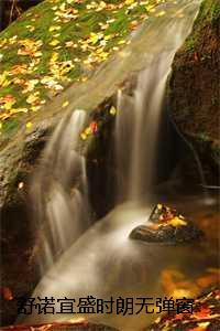 舒诺宜盛时朗无弹窗：结局+番外+完结