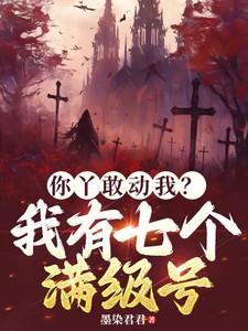你丫敢动我?我有七个满级号