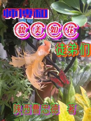 电脑病毒崽崽两岁半 小豹砸