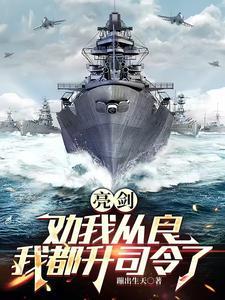 亮剑:劝我从良?我都升司令了