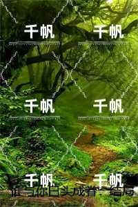 谁与你白头成眷:结局+番外