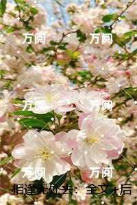 相逢无处去:完结版