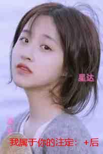 我属于你的注定:无弹窗大结局