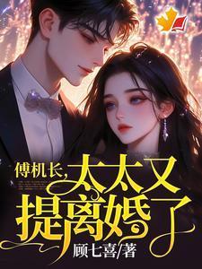 傅机长,太太又提离婚了