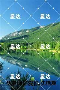 凭着回忆爱你,沈栖夏