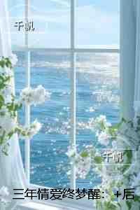 三年情爱终梦醒：全文免费在线阅读