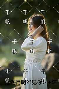 沧海月明难见你：小说免费+结局