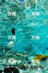 两万英尺的未寄情书：完结精选作品